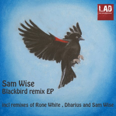 Blackbird (Dharius Remix) | Boomplay Music