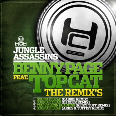 Sound Fi Dead (Cabbie Remix) ft. Topcat | Boomplay Music