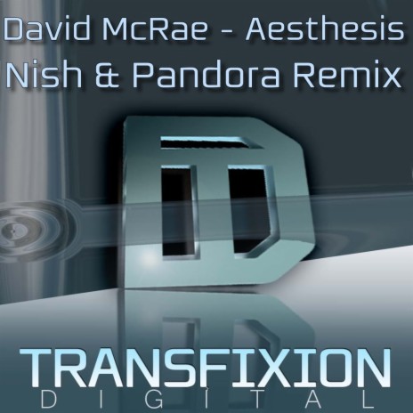 Aesthesis (Nish & Pandora Remix) | Boomplay Music