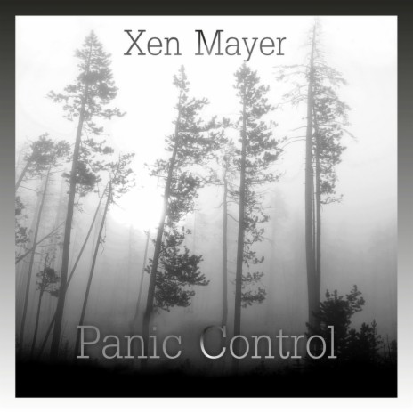 Panic Control (Original Mix) | Boomplay Music