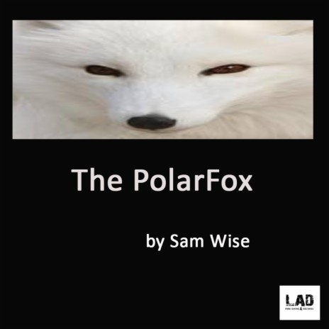 The PolarFox (Original Mix)