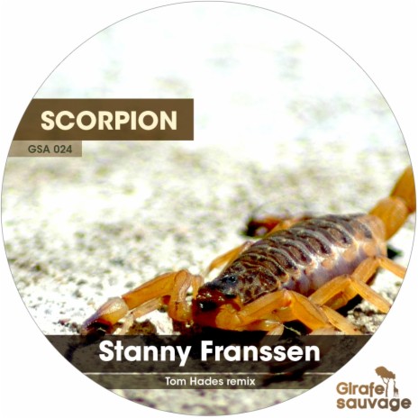 Scorpion (Tom Hades Remix) | Boomplay Music
