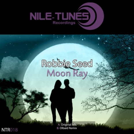 Moon Ray (Original Mix) | Boomplay Music