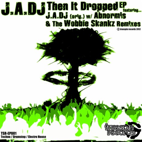 Then It Dropped (The Wobble Skankz Remix) | Boomplay Music