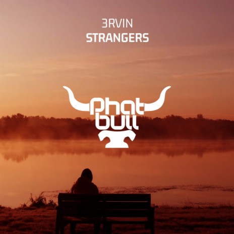 Strangers (Radio Edit) | Boomplay Music