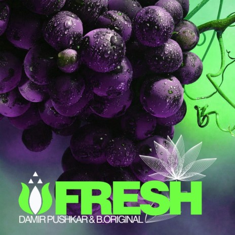 Fresh (Original Mix) ft. B.Original