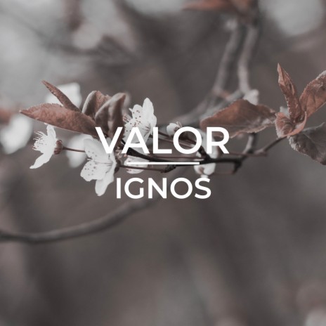 Valor