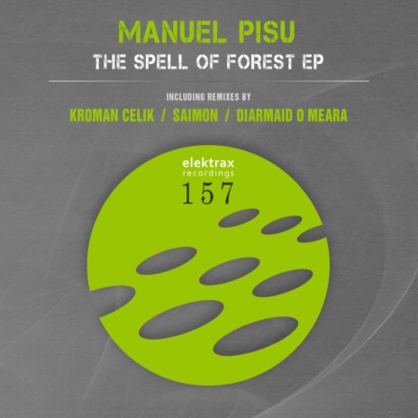 The Spell of Forest (Original Mix)