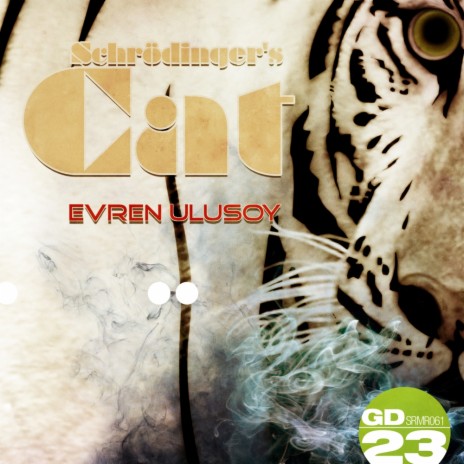 Schrodinger's Cat (Yvel & Tristan Remix)