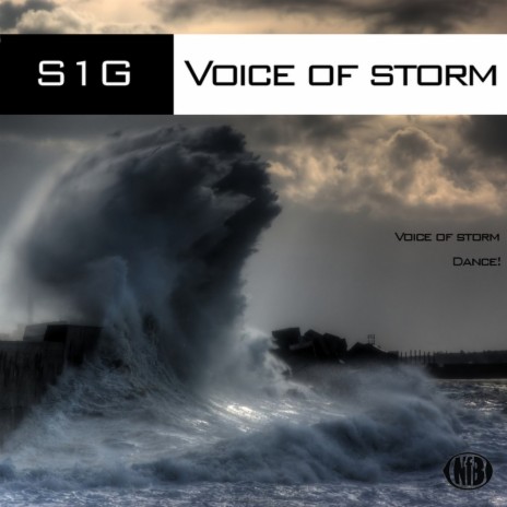 Voice of Storm (Original Mix) | Boomplay Music