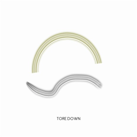 Tore Down (Original Mix) | Boomplay Music