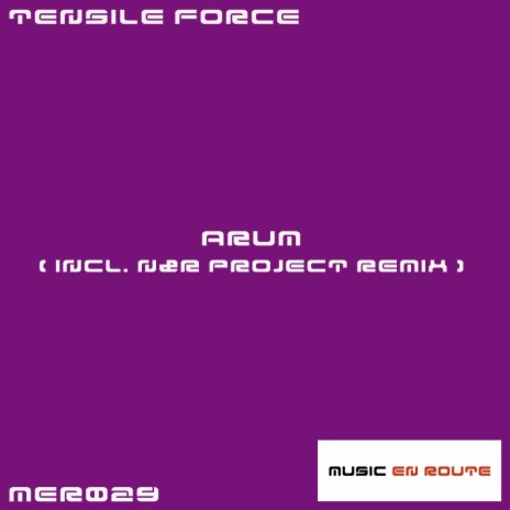 Arum (N&R Project Remix)