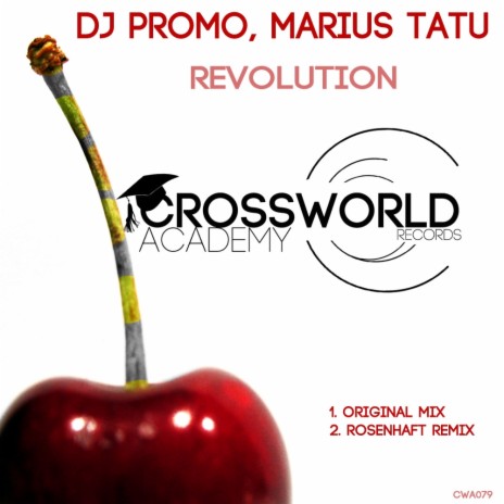 Revolution (Rosenhaft Remix) ft. Marius Tatu | Boomplay Music