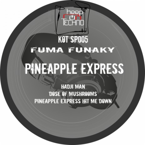 Pinapple Express Hit Me Down (Original Mix) | Boomplay Music