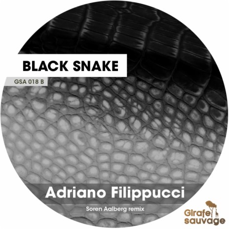 Black Snake (Soren Aalberg Remix) | Boomplay Music