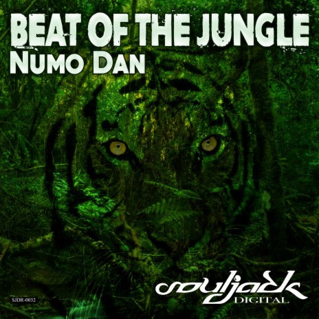 Beat of the Jungle | Boomplay Music