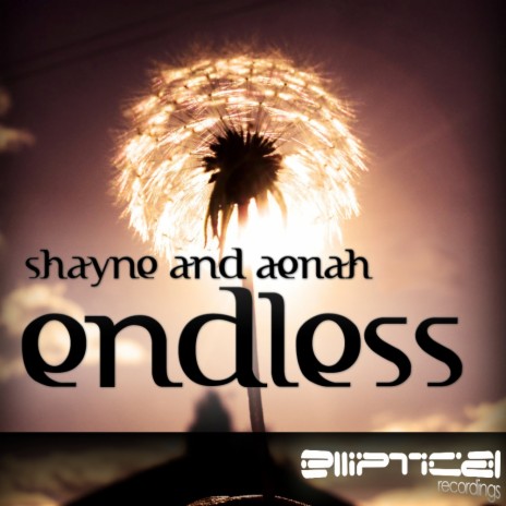 Endless (Instrumental Mix) ft. Aeriah | Boomplay Music