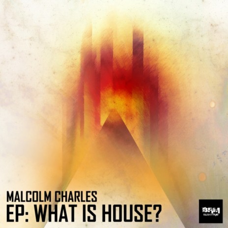 What Is House? (Tech Mix)