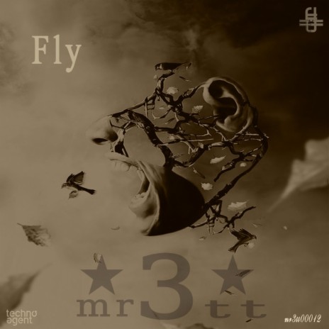 Fly (Original Mix) | Boomplay Music