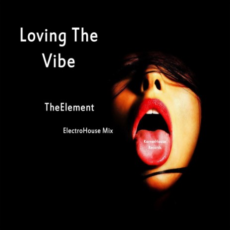 Loving The Vibe (ElectroHouse Mix)