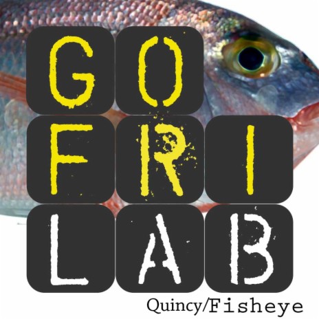 Fisheye (Gofrilab Remix) | Boomplay Music