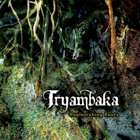 Furious (Tryambaka Remix)