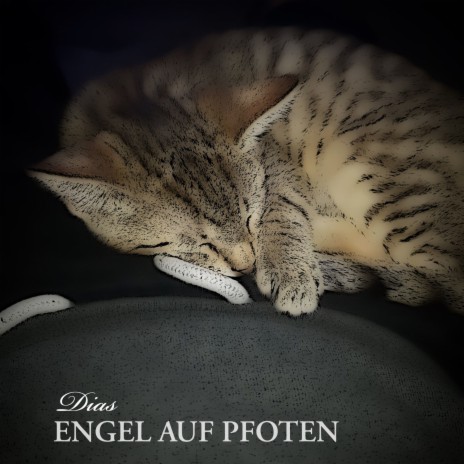 Engel auf Pfoten | Boomplay Music