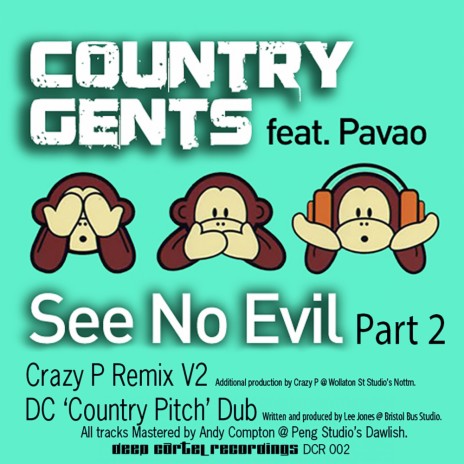 See No Evil (Crazy P V2 Remix) ft. Pavao