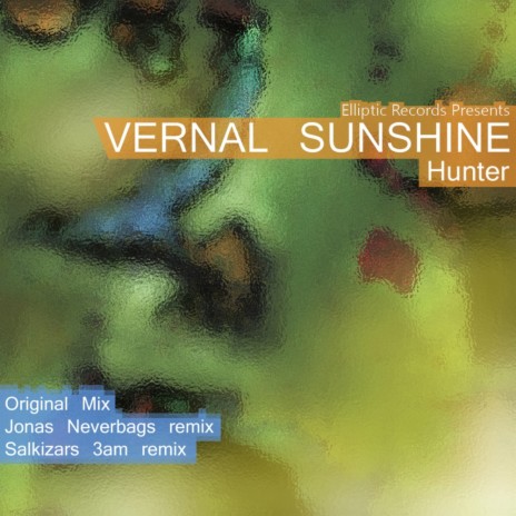 Vernal Sunshine (Original Mix) | Boomplay Music