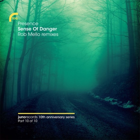 Sense Of Danger (Rob Mello Dub) ft. Shara Nelson | Boomplay Music