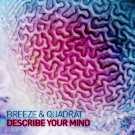 Describe Your Mind (Yuriy From Russia Remix) ft. Quadrat