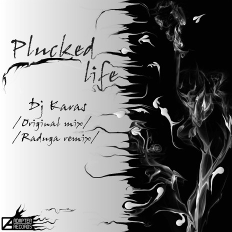 Plucked Life (Extended Mix) | Boomplay Music