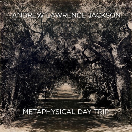 Metaphysical Day Trip | Boomplay Music