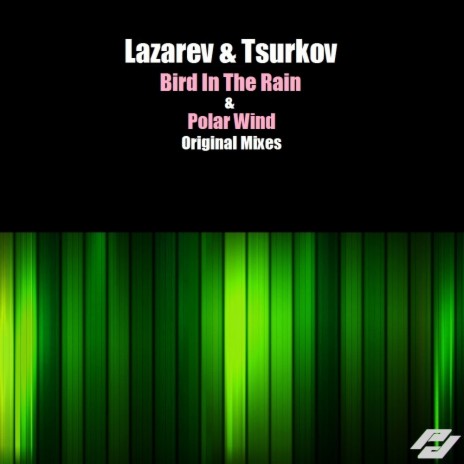 Bird In The Rain (Original Mix) ft. Tsurkov