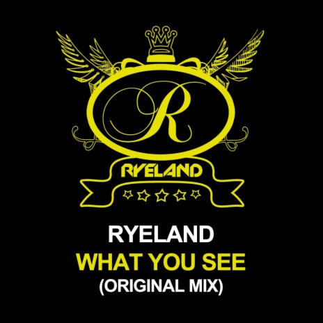What You See (Original Mix)
