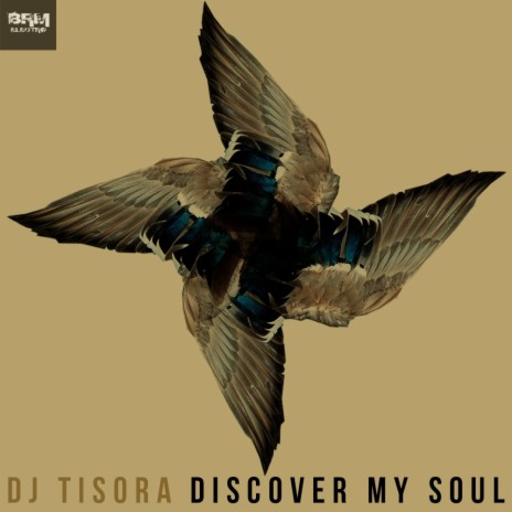 Discover My Soul (DJ Tisora Remix) | Boomplay Music