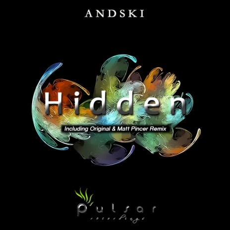 Hidden (Matt Pincer Remix) | Boomplay Music