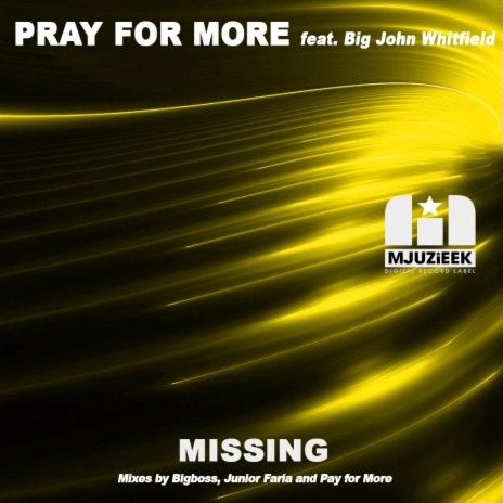 Missing (Junior Faria Remix) ft. Big John