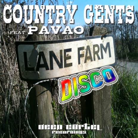 Lane Farm Disco (Original Mix) ft. Pavao