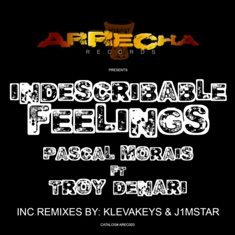 Indescribable Feelings (Klevakeys Remix) ft. Troy Denari