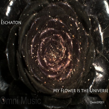 My Flower Is The Universe (Original Mix) | Boomplay Music