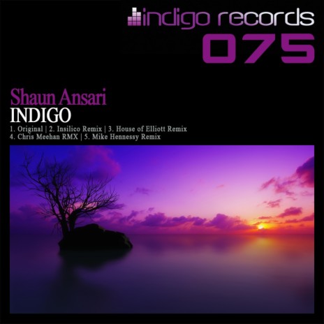 Indigo (Chris Meehan Remix) | Boomplay Music