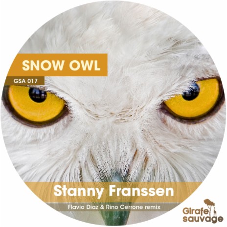 Snow Owl (Rino Cerrone & Flavio Diaz Remix) | Boomplay Music