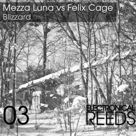Blizzard (Pole Folder Northern Remix) ft. Felix Cage
