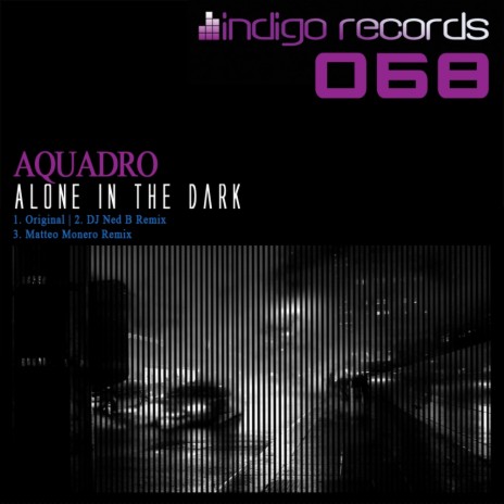 Alone In The Dark (DJ Ned B Remix) | Boomplay Music
