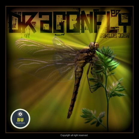 DragonFly (Techno Deep Remix) | Boomplay Music