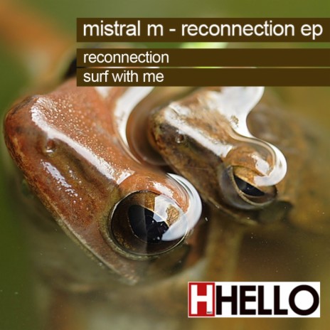 Reconnection (Original Mix)