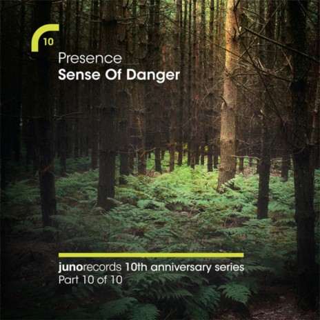 Sense Of Danger (Calibre Dub) ft. Shara Nelson