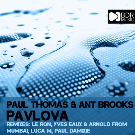 Pavlova (Paul Damixie Remix) ft. Ant Brooks | Boomplay Music