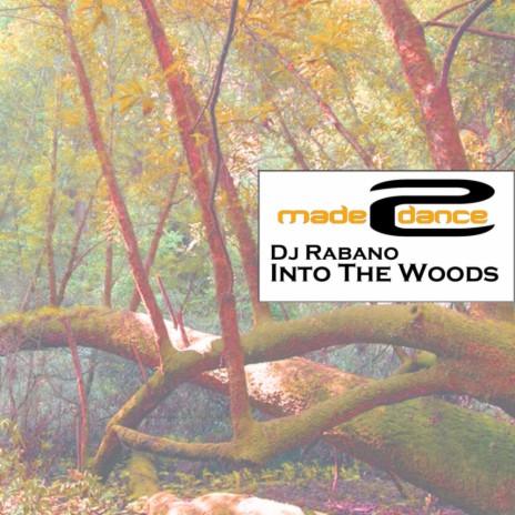 Into The Woods (Original Mix)